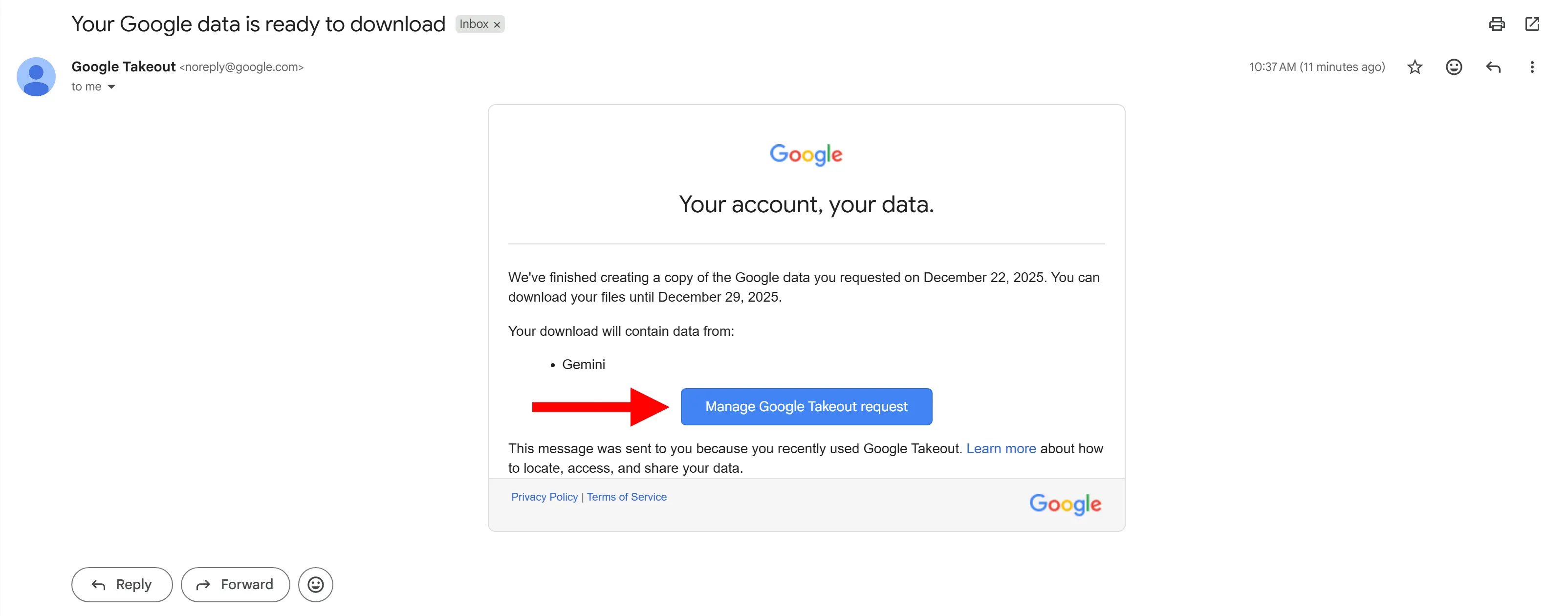Gemini export step 4